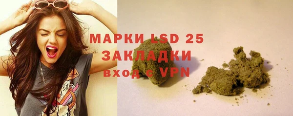 стафф Алексин
