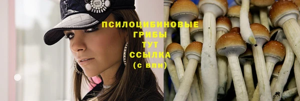 дмт Алзамай