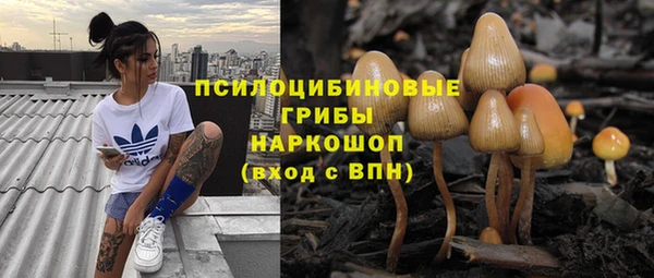 дмт Алзамай