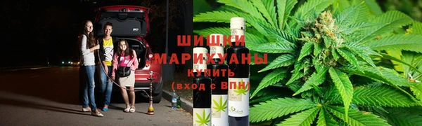 дмт Алзамай