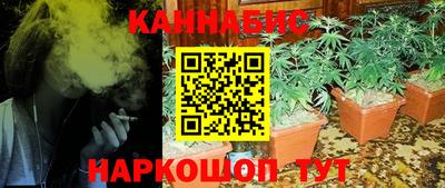 стафф Белореченск
