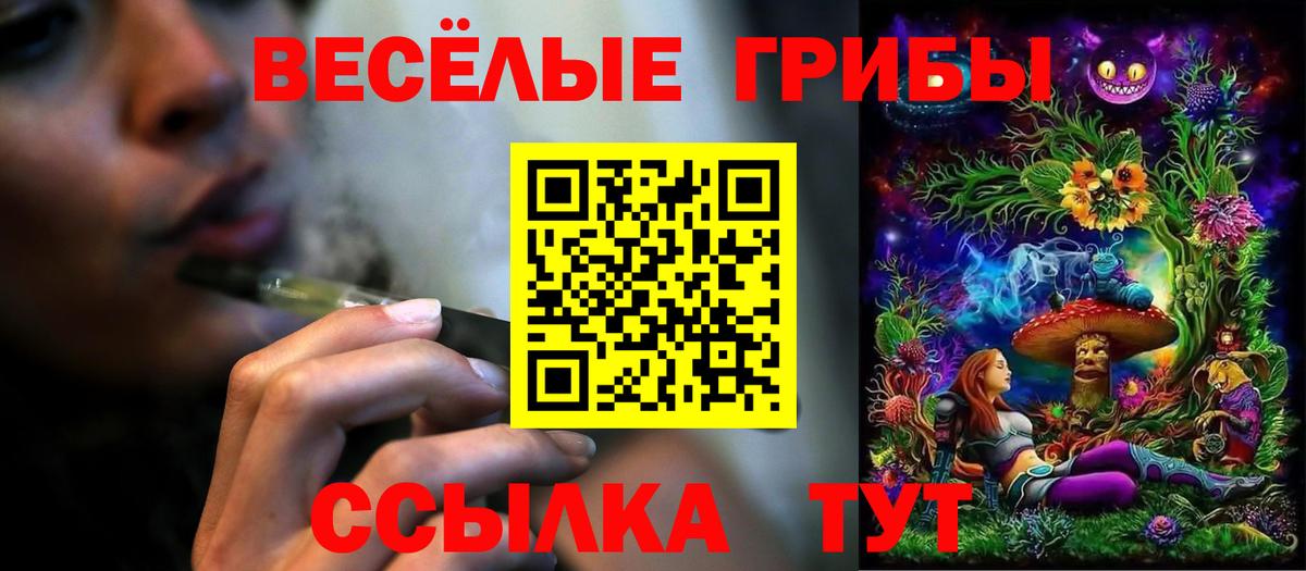 Галлюциногенные грибы Magic Shrooms  Вход с VPN  Асино  Псилоцибиновые грибы прущие грибы 
