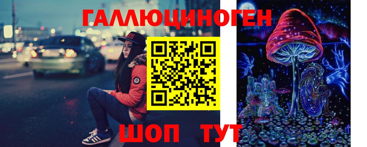 Галлюциногенные грибы Cubensis Асино